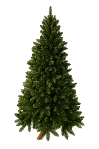 4187f190-e293-4f60-88a7-e72f75361cdf.png