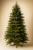 12.png