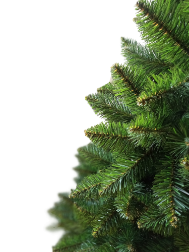 2.png