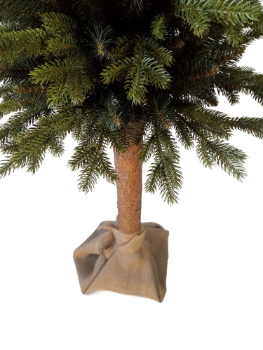 5.png
