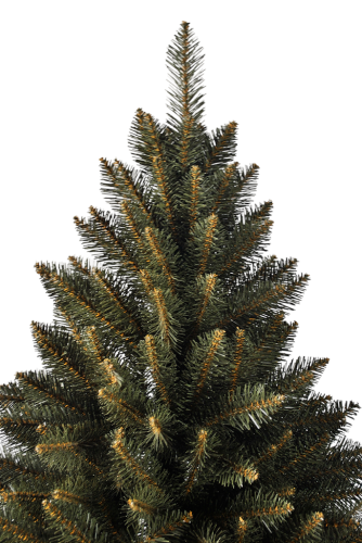 _DSC1951.png