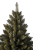 _DSC1951.png