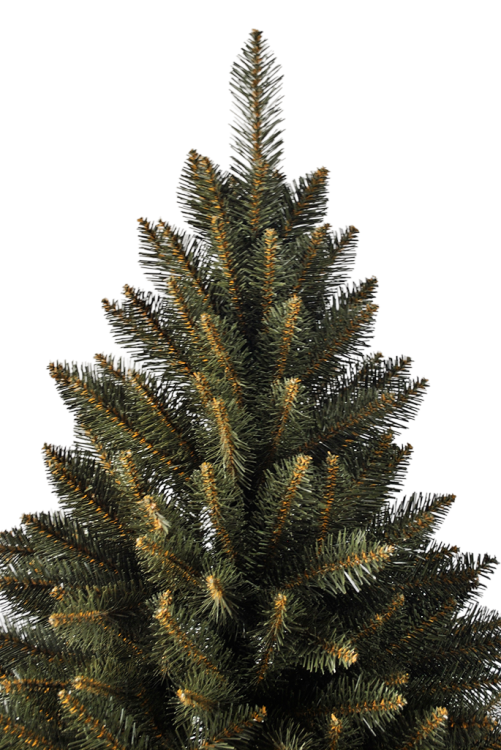 _DSC1951.png
