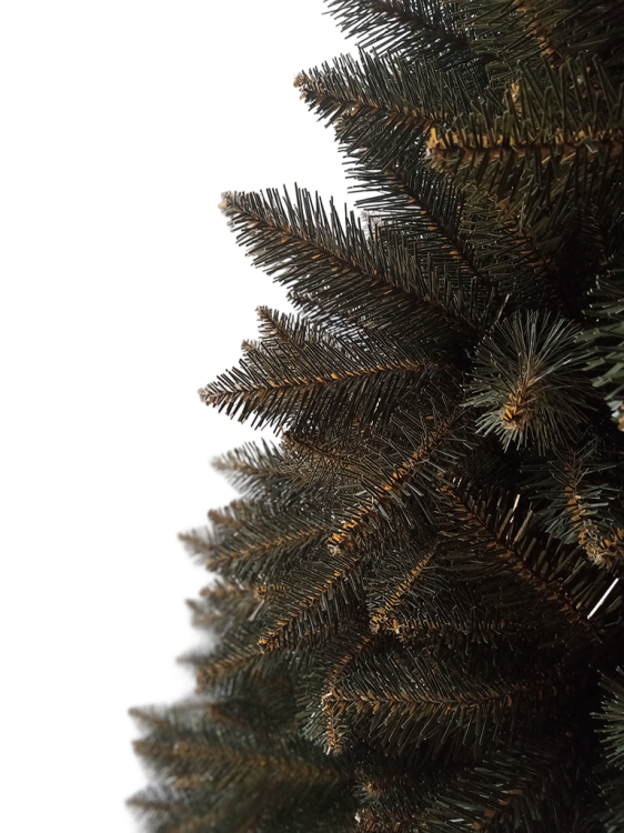 3.png